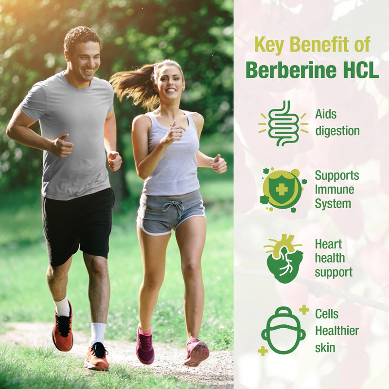 CHANUBITO 4-Pack Organic Berberine Supplement – High Potency Berberine HCl, Non-GMO
