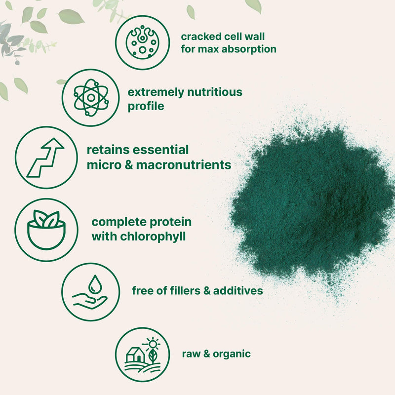 Micro Ingredients Organic Chlorella Powder – 20 oz | Broken Cell Wall | Vegan & Non-GMO