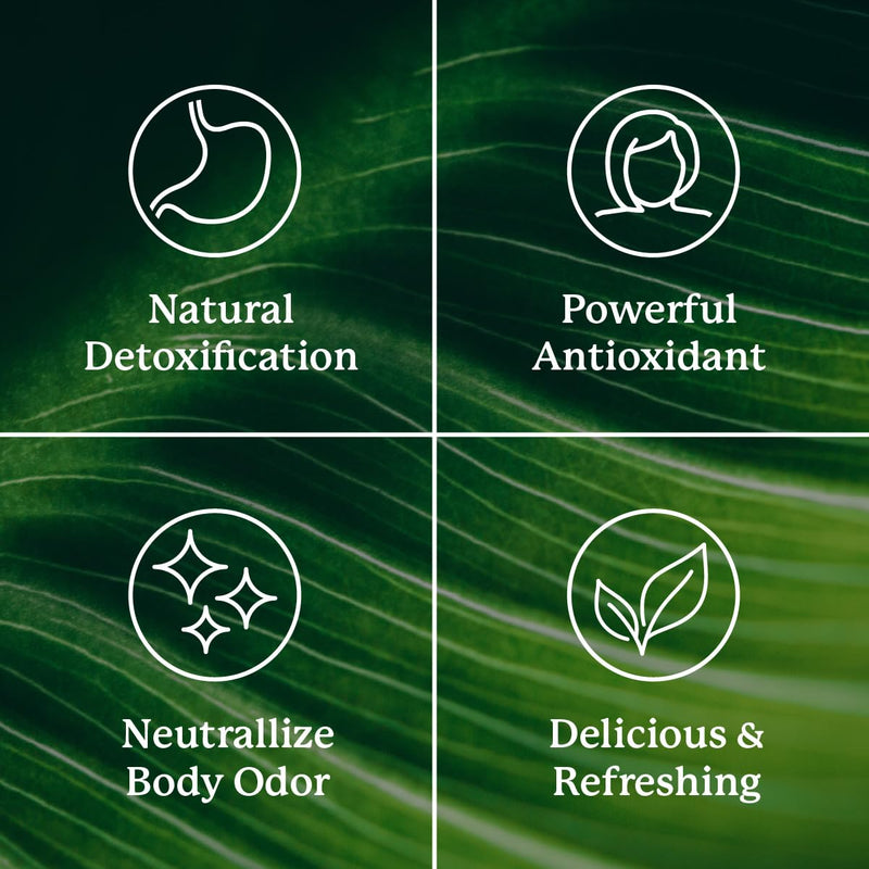 Nature's Sunshine Chlorophyll 60 Softgel Capsules – Digestion, Immunity & Detox Support