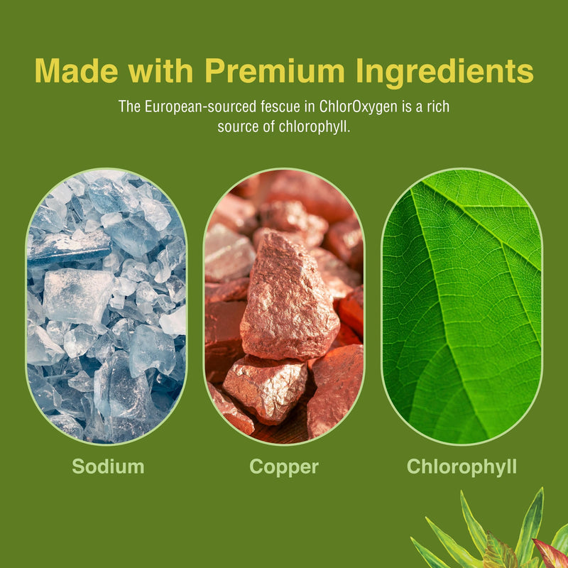 ChlorOxygen Chlorophyll Concentrate by Herbs Etc. – Energy & Blood Health (1 fl oz)