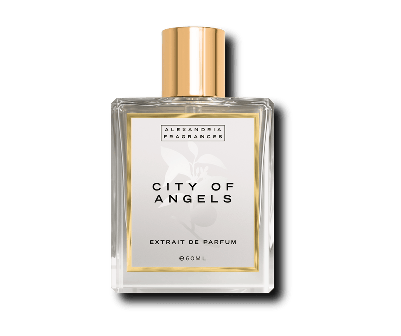 City of Angels Inspired By LV Louis Vuitton City Of Stars