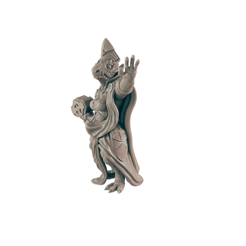 Cleric Dragonkin Female
