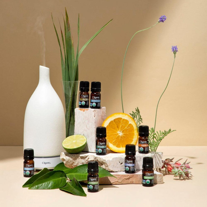 Cliganic Organic Citronella Essential Oil – 100% Pure & Natural for Aromatherapy Diffuser | Non-GMO Verified (Packaging May Vary)