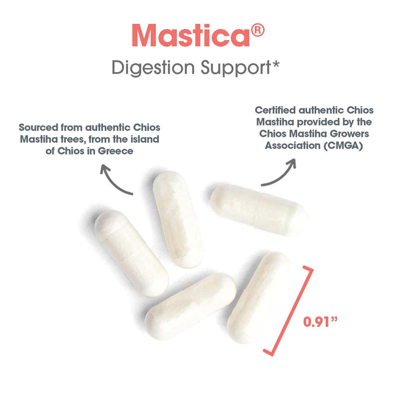 Allergy Research Group Mastica - 500 mg Mastic Gum Capsules for Digestive Support (120 Count)