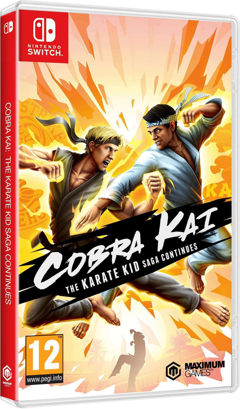 Cobra Kai The Karate Saga Continues Nintendo Switch
