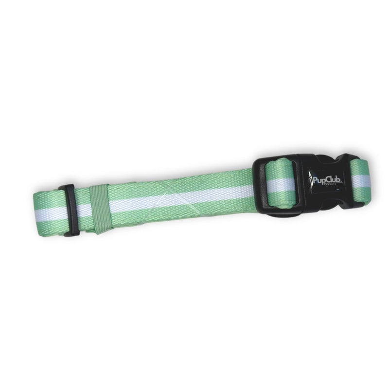 PupClub Dog Collar - Pastel Mint