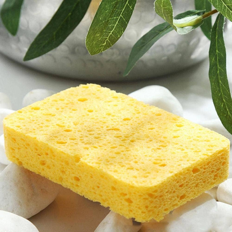 Compostable Cellulose Sponges – Plastic-Free, Biodegradable & Reusable