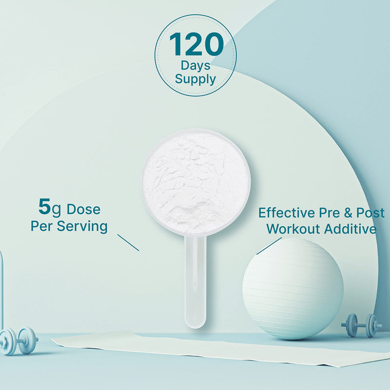 Instant Creatine Monohydrate Powder – 5g Serving, 120 Servings | Micronized, Unflavored, Fast Absorbing