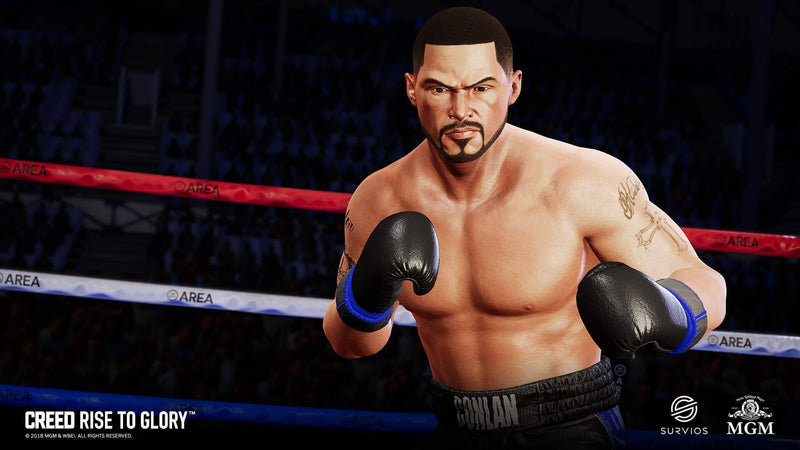Creed Rise to Glory PSVR PS4