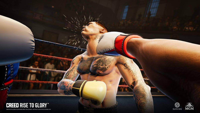 Creed Rise to Glory PSVR PS4