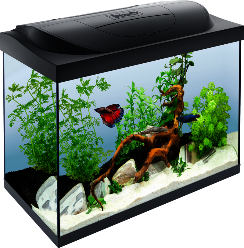 Tetra Starter Line 30l Goldfish Tank