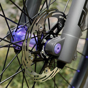 CYCLAMI Bicycle Ultra-Lightweight Carbon Fiber Brake Rotor Center-lock 6-bolt Disc Brake, 160mm, 180mm - InStock