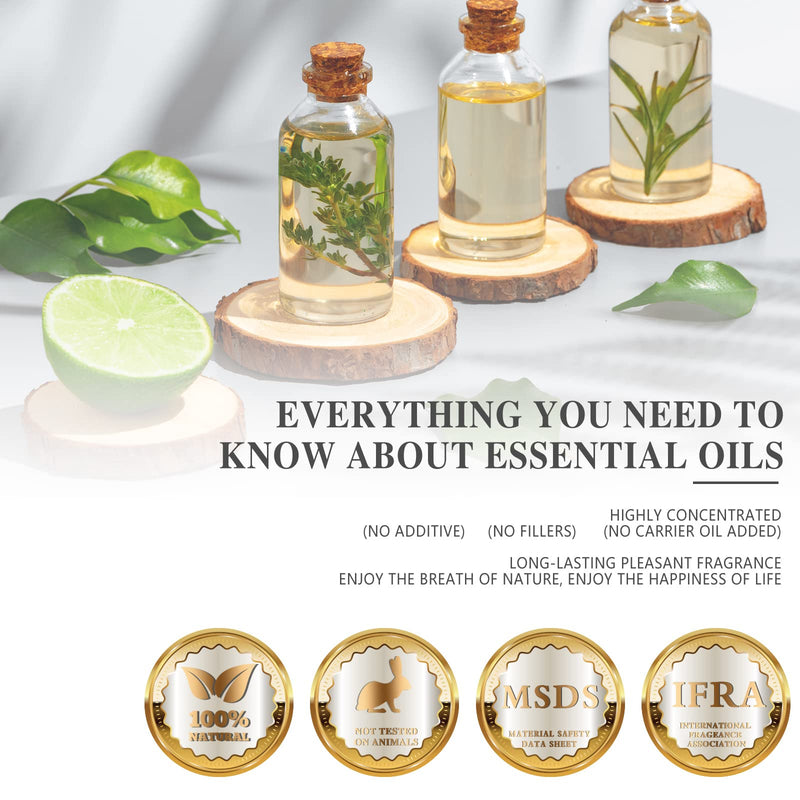 Cypress Essential Oil – MAYJAM 100ml with Glass Dropper