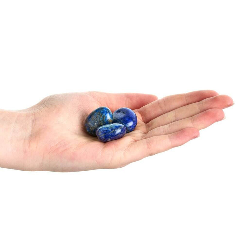 Lapis Lazuli Tumbled Collectible Semi-Precious Gemstone