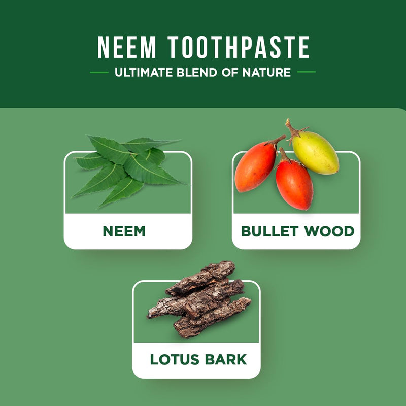 Dabur Toothpaste 100ml US – Neem Ayurveda, Pack of 3 (3.38 fl oz each)
