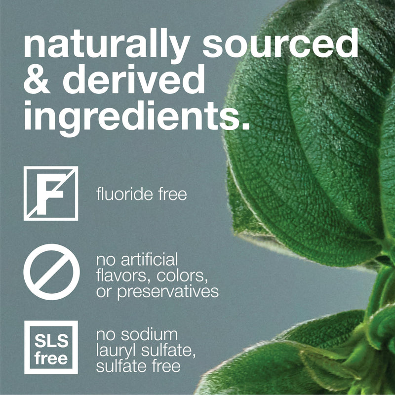 Davids Charcoal Toothpaste – Enhanced Whitening, Fluoride-Free, SLS-Free