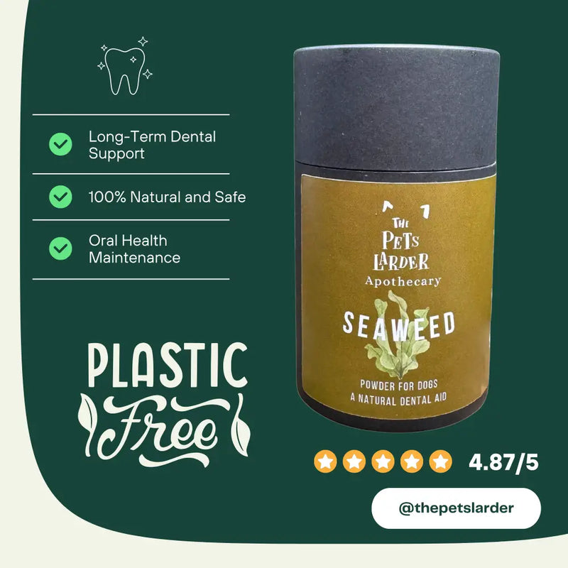 Dental Seaweed Powder for Dogs: Plaque Removal