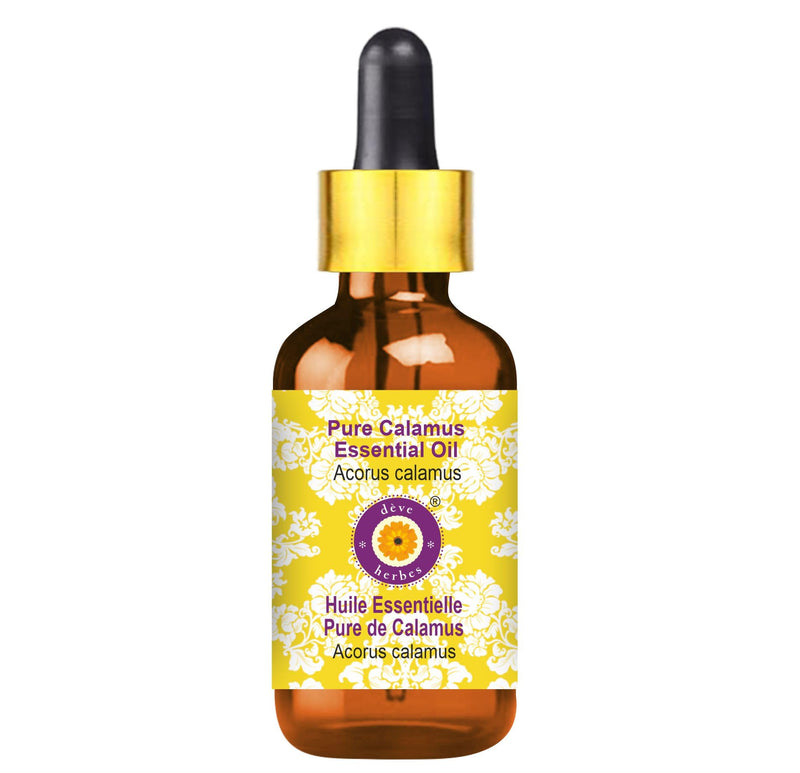 dève herbes Calamus Essential Oil 50ml | Steam Distilled, Pure