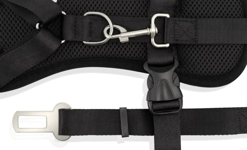 Dog Strap Harness - Small