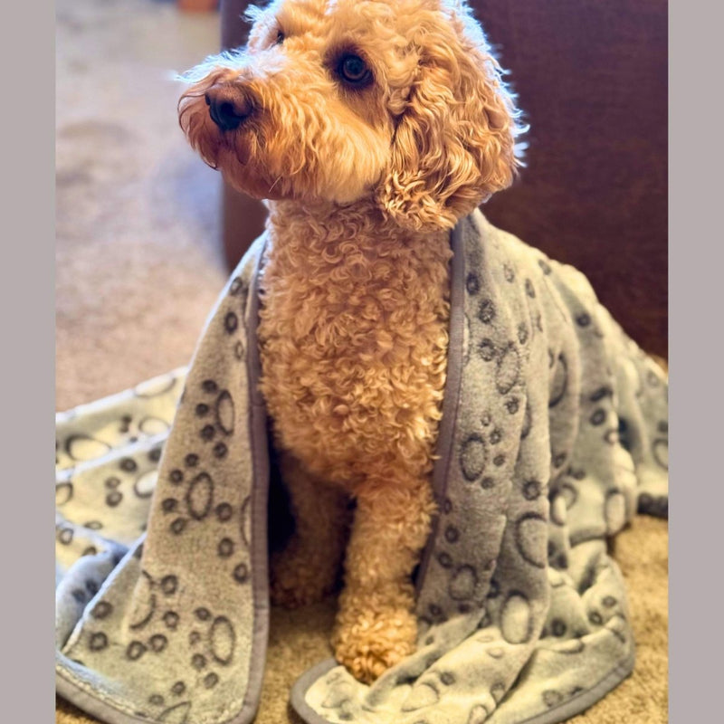 PupClub Dog Dog Blanket - Grey Paws