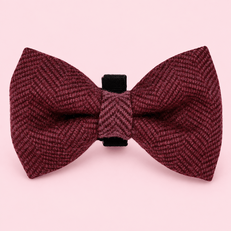 Dog Bow Tie - Berry Tweed
