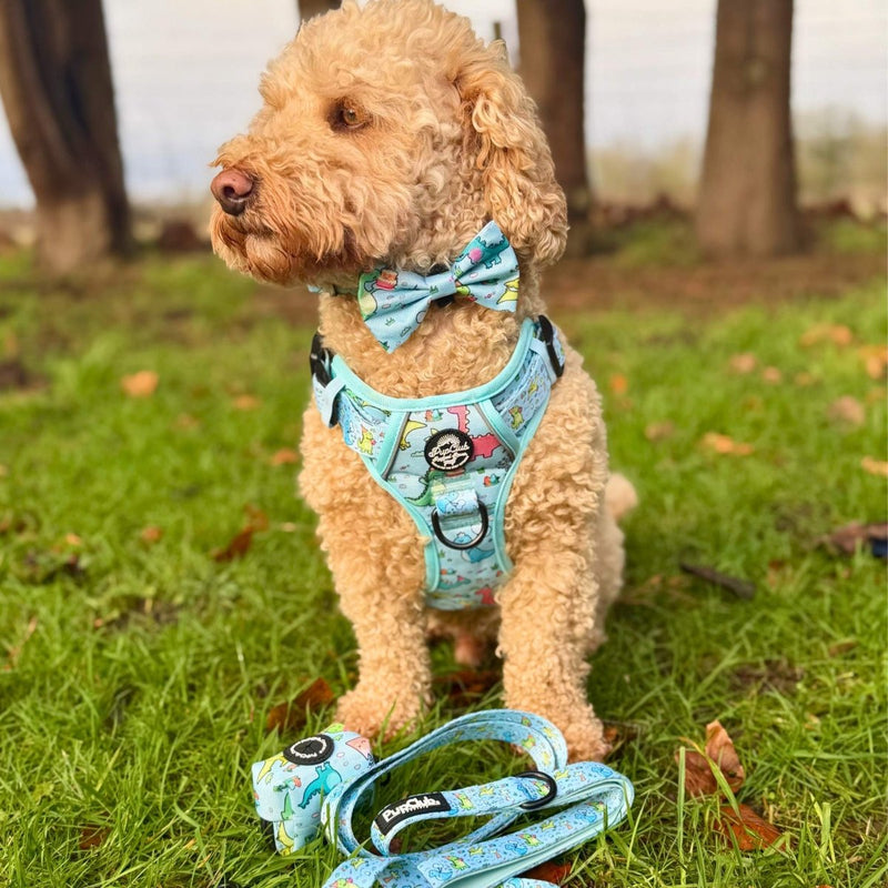 PupClub Dog Lead - Jurassic Party