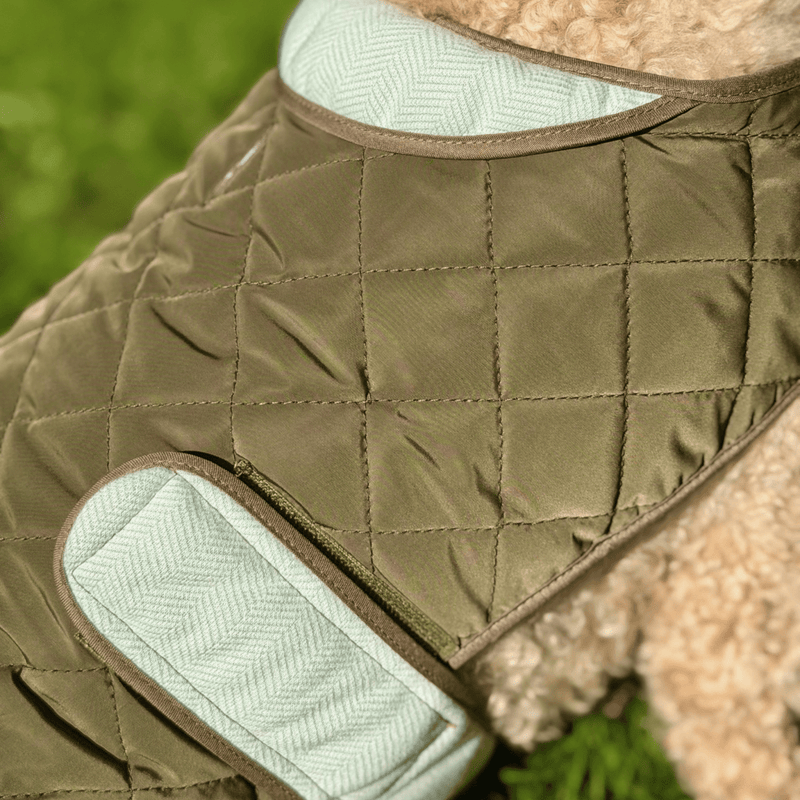 Quilted Dog Coat - Khaki Tweed