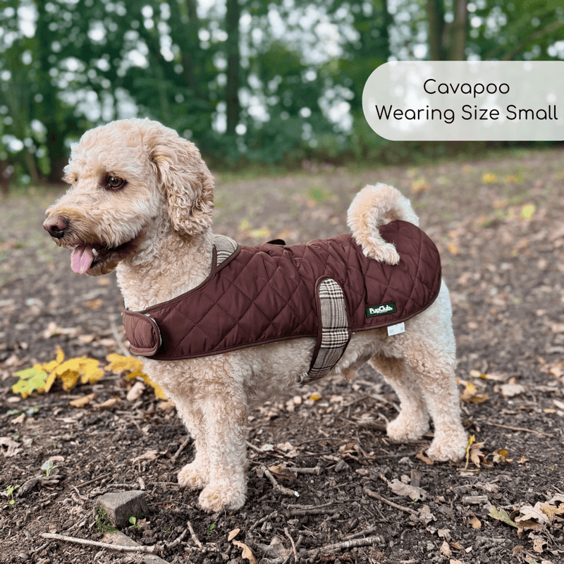 Quilted Dog Coat - Foxbury Plaid
