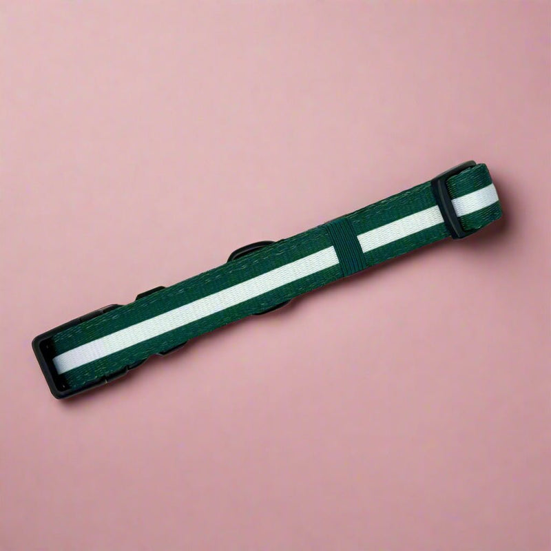 PupClub Dog Collar - Forest Green