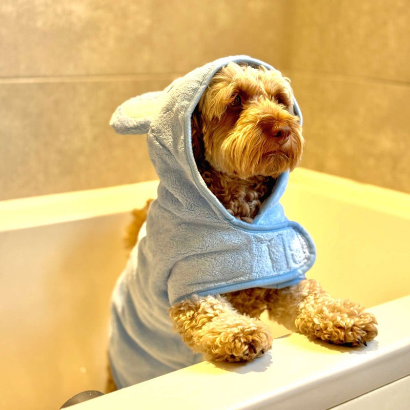 PupClub Dog Drying Robe - Blue