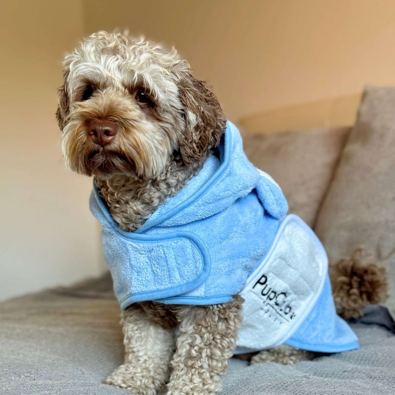 PupClub Dog Drying Robe - Blue