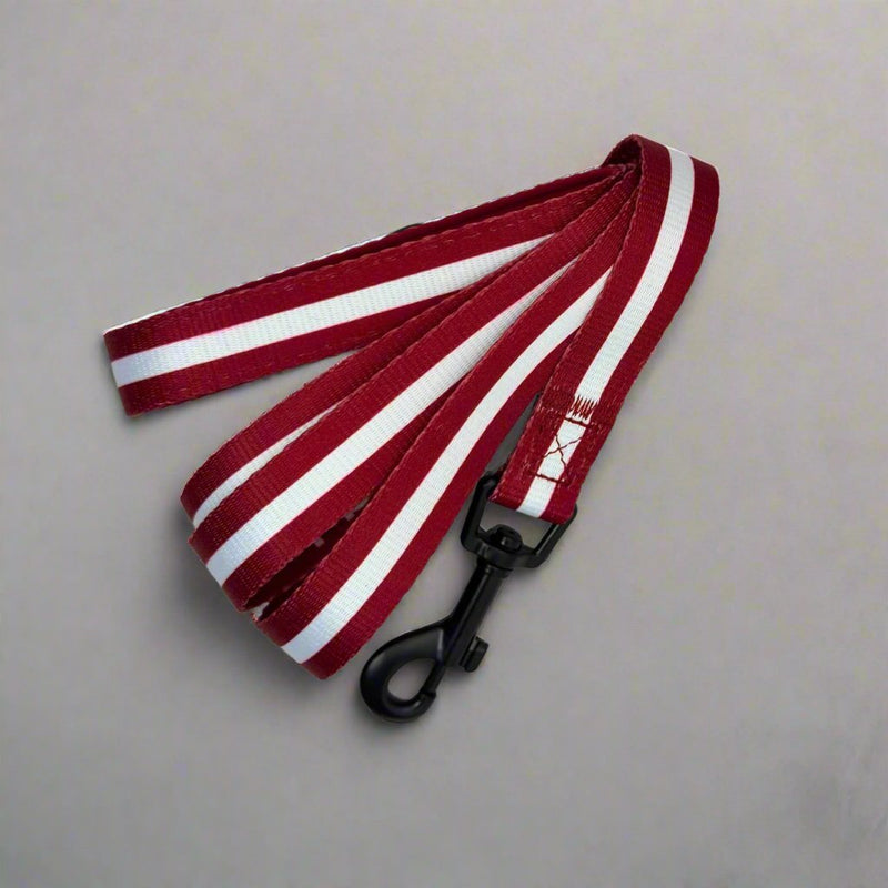 PupClub Dog Lead - Berry red