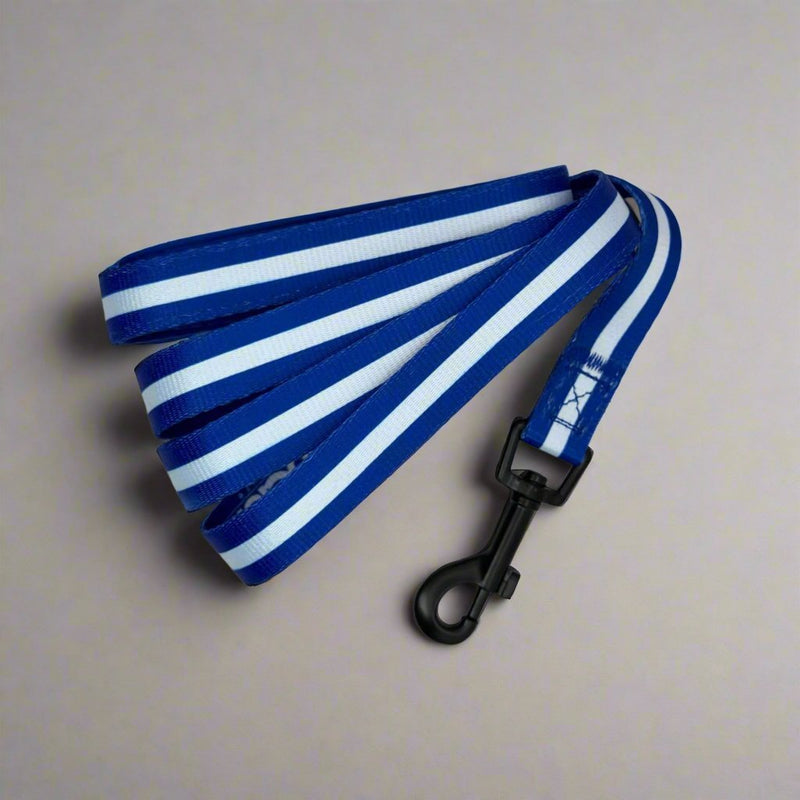 PupClub Lead - Royal Blue