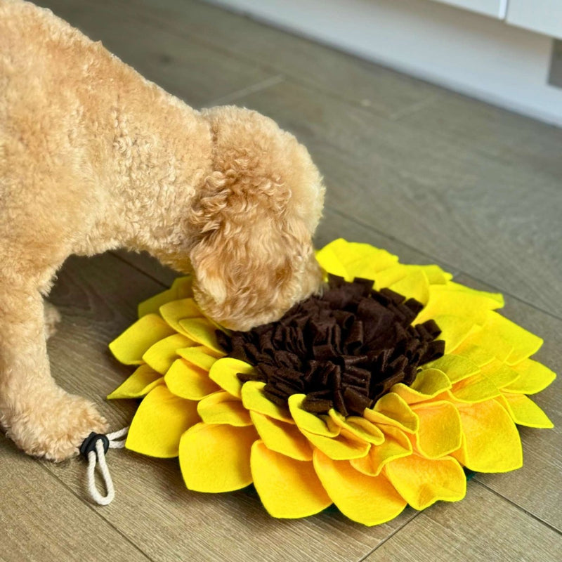 PupClub Dog Snuffle Mat - Sunflower