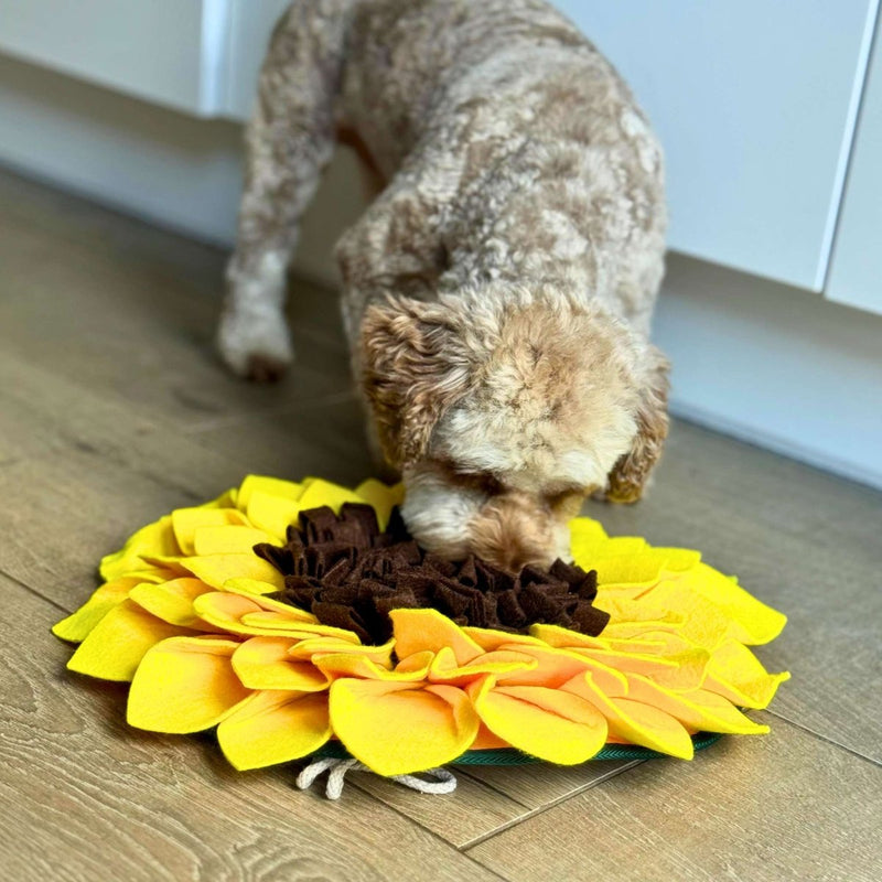 PupClub Dog Snuffle Mat - Sunflower