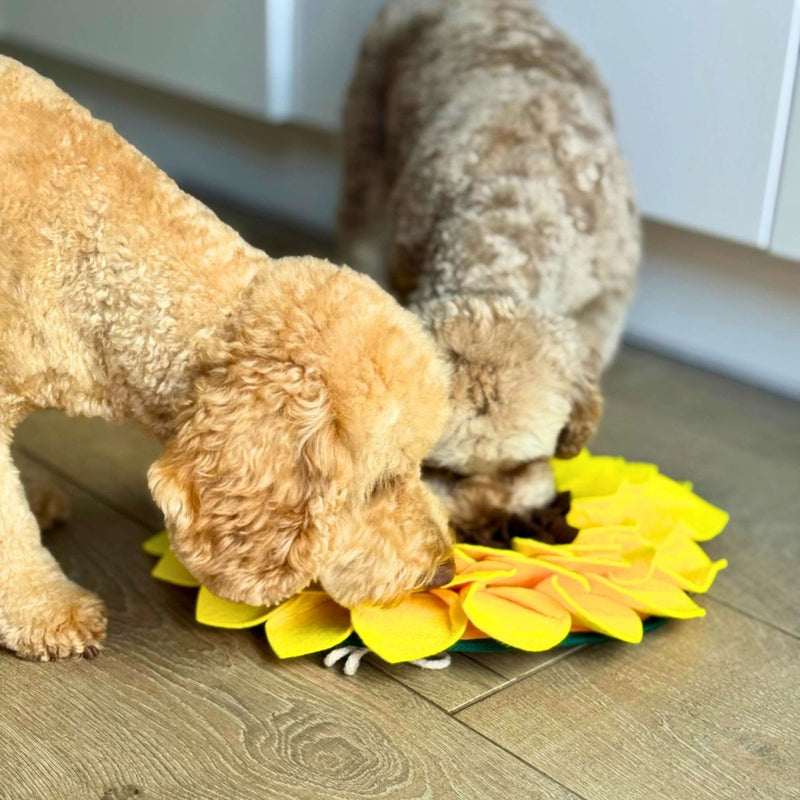 PupClub Dog Snuffle Mat - Sunflower