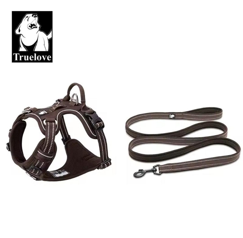 DogShackUK! True Love Harness & Lead