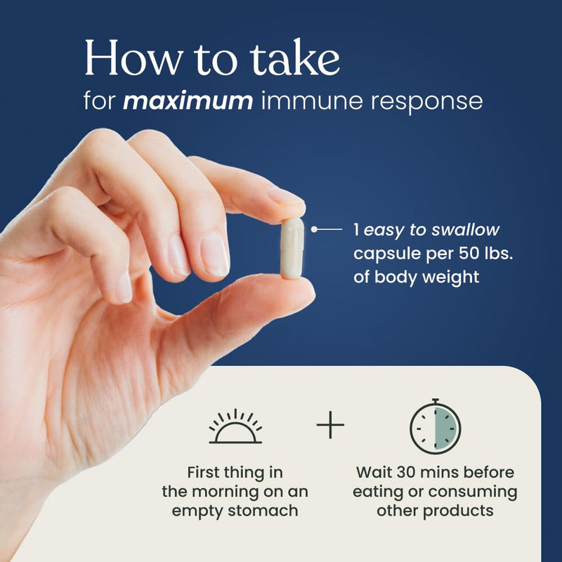 Better Way Health Advanced Immune Readiness Beta Glucan 500 — 500mg, 60 Capsules (Pack of 2)
