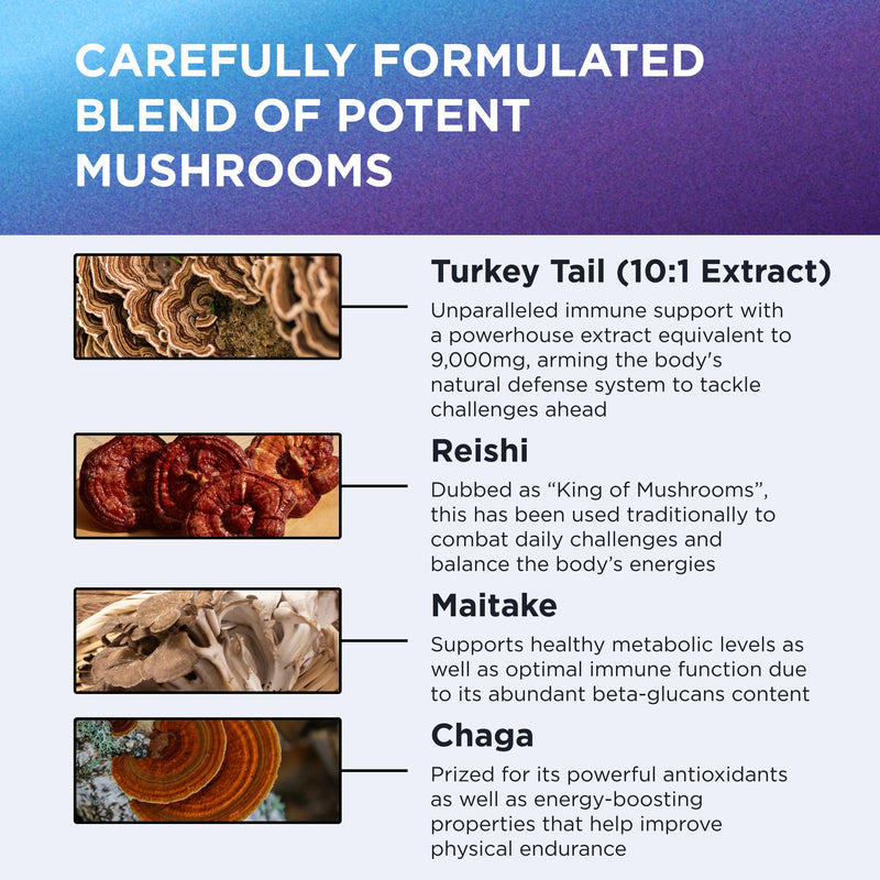 Dr. Emil Nutrition Elite Turkey Tail Twin Pack | Immune & Gut Health