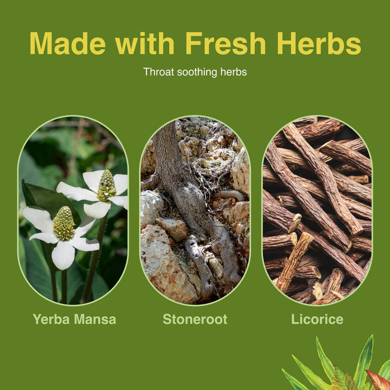 Herbs Etc. Singer's Saving Grace Honey Lemon – Herbal Throat Spray (1 oz)