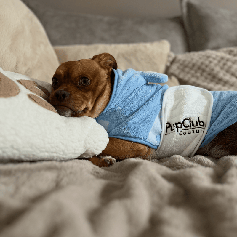 PupClub Dog Drying Robe - Blue
