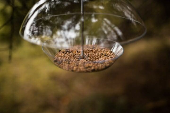 Hanging Dome Bird Feeder
