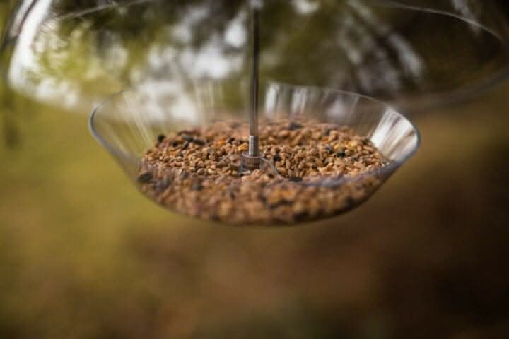 Hanging Dome Bird Feeder