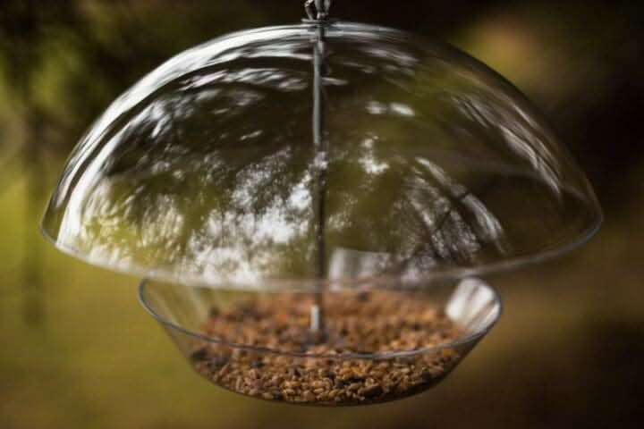 Hanging Dome Bird Feeder