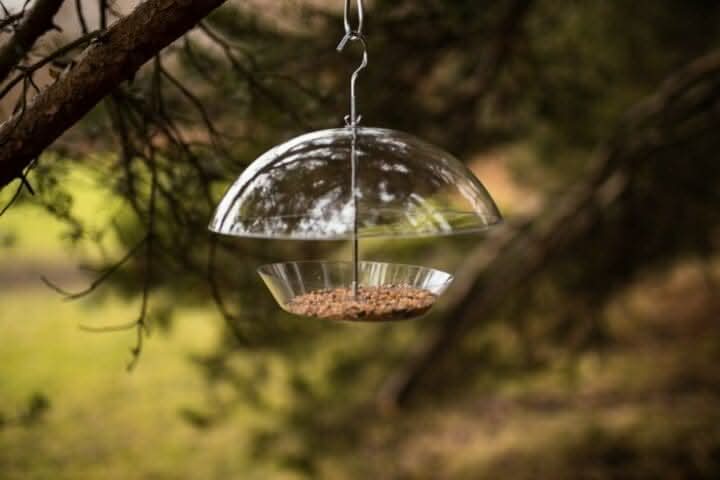 Hanging Dome Bird Feeder