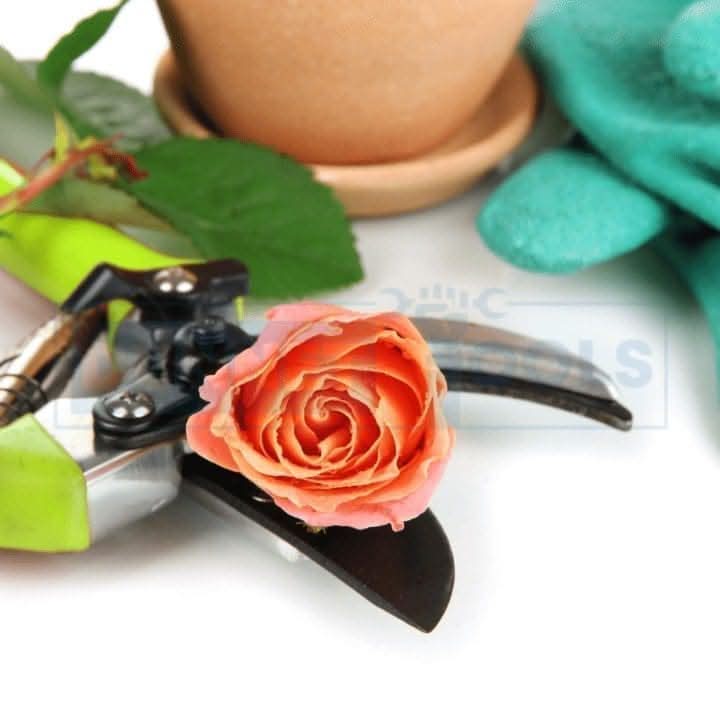 Anvil Secateurs 8 Inch Non Stick Blade Pruners
