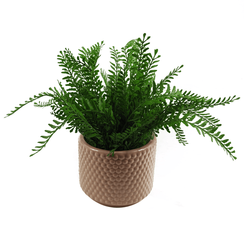 Dusty Pink Peach Raised Dots Ceramic Plant Pot 15 x 15 x 12.5cm - InStock
