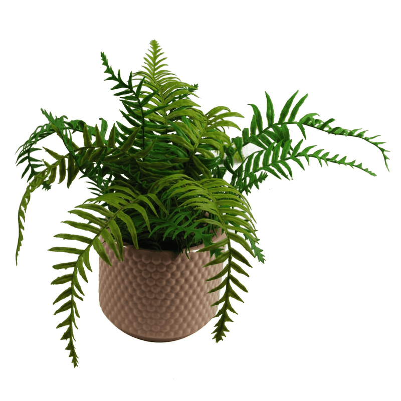 Dusty Pink Raised Dots Ceramic Plant Pot 15 x 15 x 12.5cm - InStock