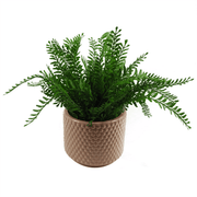 Dusty Pink Raised Dots Ceramic Plant Pot 15 x 15 x 12.5cm - InStock