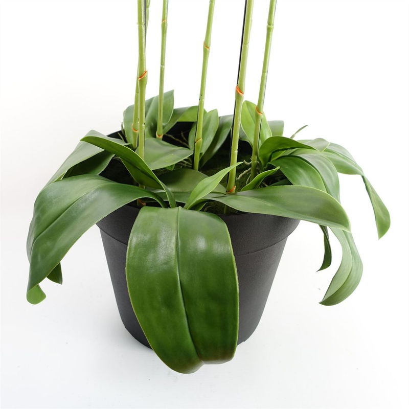 110cm Large White Orchid Plant Artifcial 41 REAL TOUCH flowers